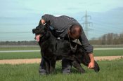 Blacj-jack-von-der-teufelskehle_2