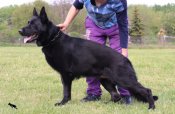 Nikolas_16052024